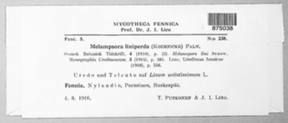Melampsora lini image